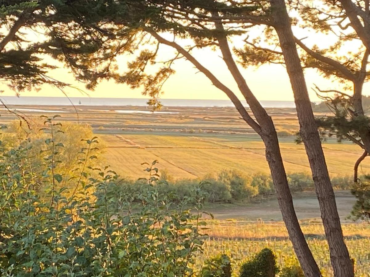 Villa Vieilles Vignes Vue Mer Billiers 外观 照片