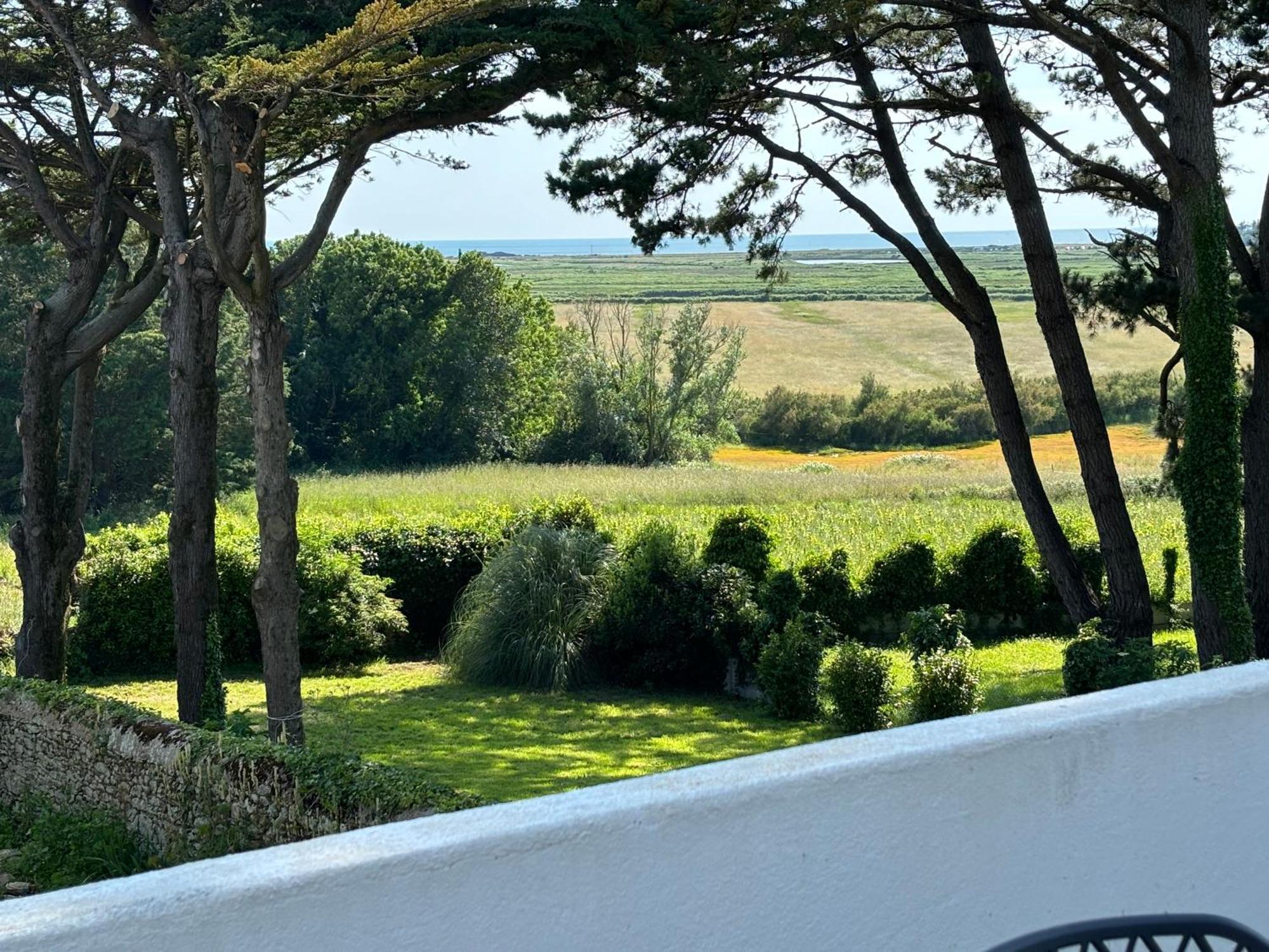 Villa Vieilles Vignes Vue Mer Billiers 外观 照片