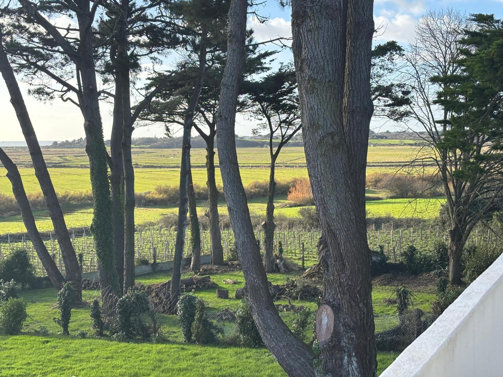 Villa Vieilles Vignes Vue Mer Billiers 外观 照片