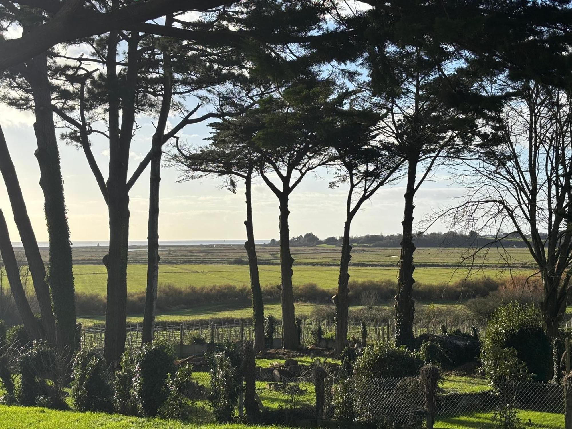 Villa Vieilles Vignes Vue Mer Billiers 外观 照片
